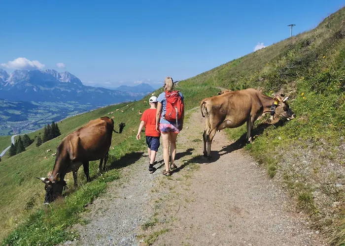 Retro קיצביהל